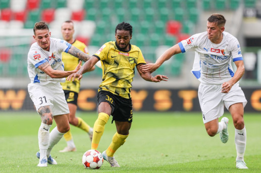 wieczystaPogon