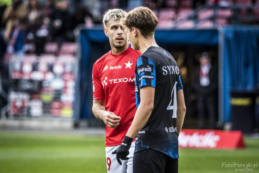 wislaStal