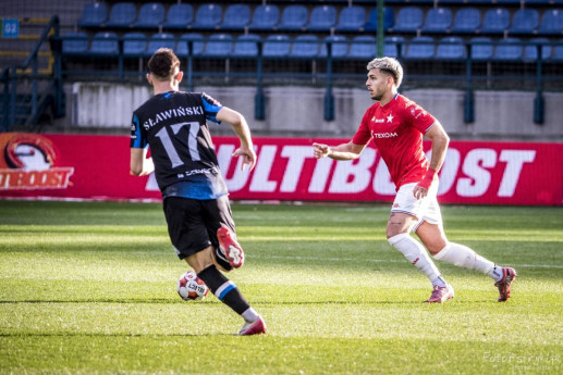 wislaStal