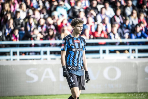 wislaStal