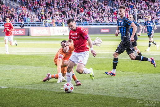wislaStal